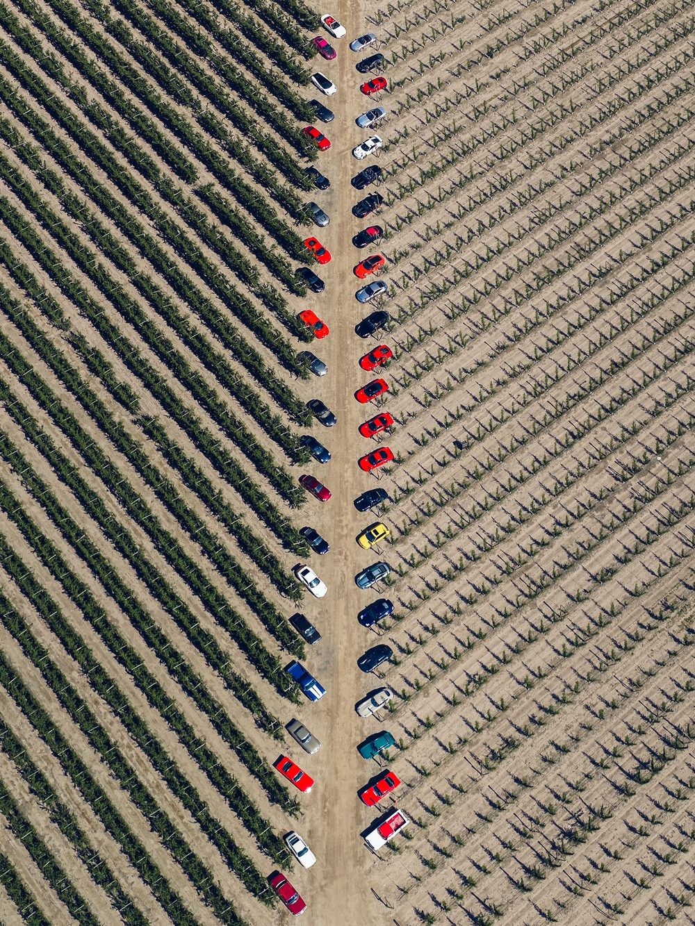 Foto: Diego Pozo