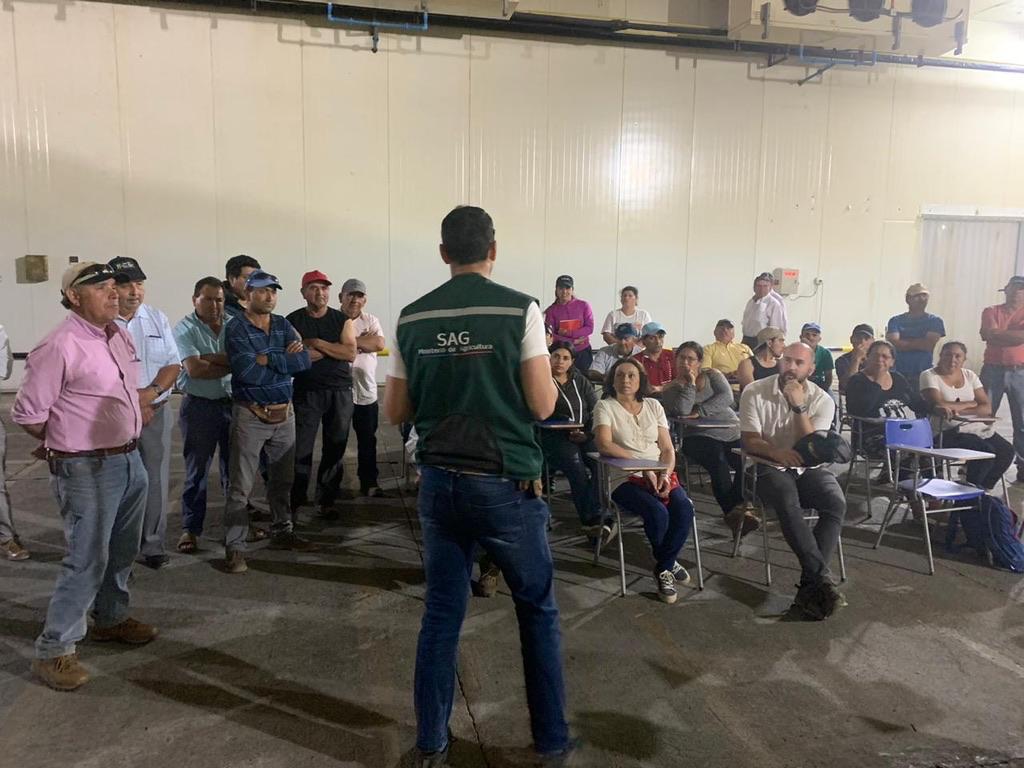 trampa de monitoreo en el huerto